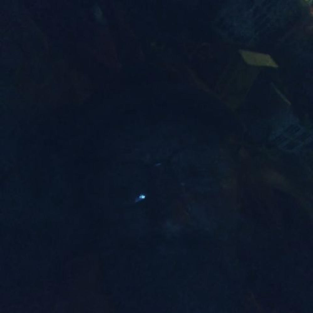 Meet your Posher, Rickey